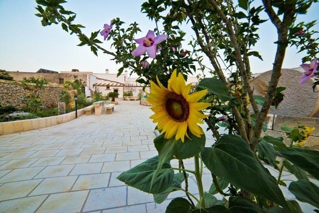 Masseria Cinti 바놀로 델 살렌토 외부 사진